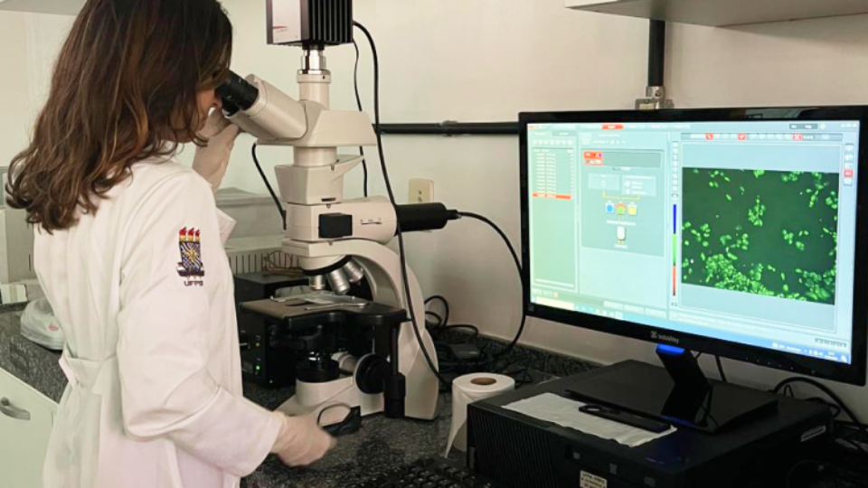 pesquisa-ciencia-estudo-ce2e89-750x432-1-960x540 pesquisa-ciencia-estudo-ce2e89-750x432-1-960x540