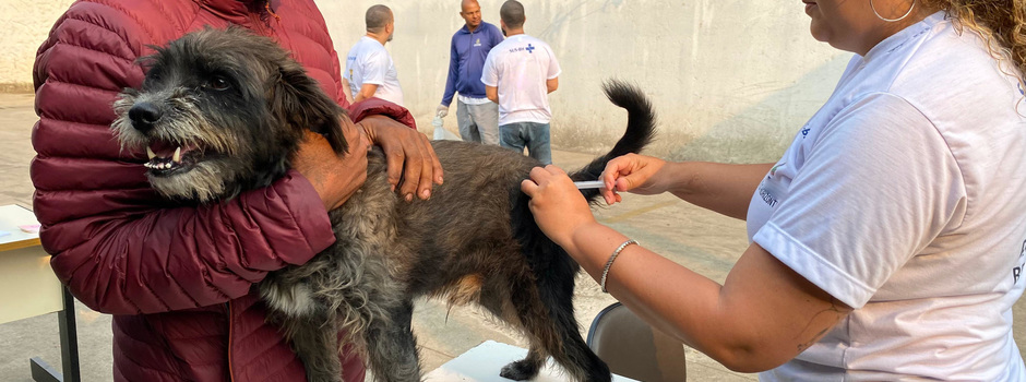 2025.07.30__Acervo_PBH__Vacina_Antirrabica_(1)