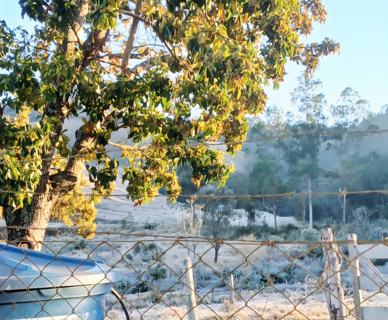 GeadaStaEmeria1 GeadaStaEmeria1