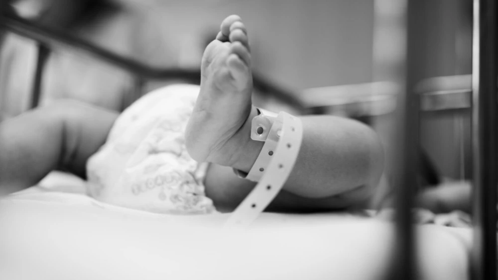 bebe-49347 bebe-49347