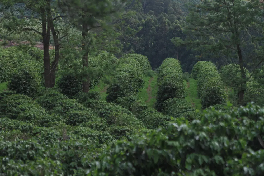 ezgif-3073198fb2132c