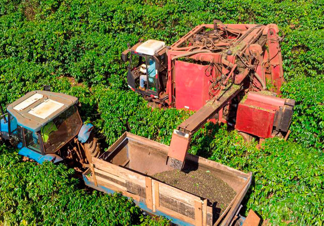 maquinario-agricola-foi-um-dos-principais-resposav