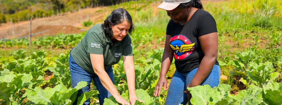 thumbnail_EMATER_-_Diego_Vargas_-_Ascom_Seapa_(1)