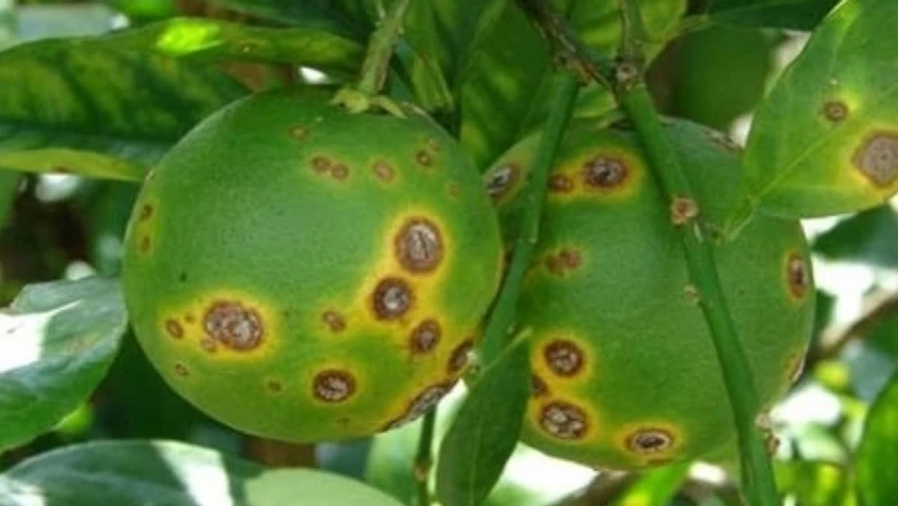 53408734794793679034986729340692 53408734794793679034986729340692