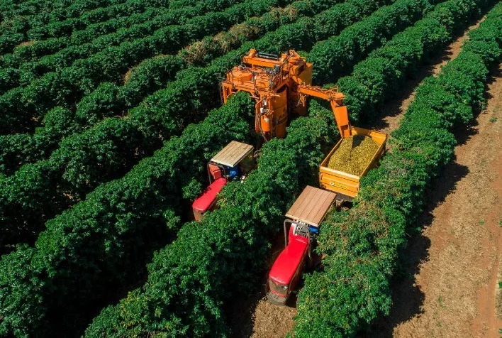 coffee-cafef-449d26c677966d coffee-cafef-449d26c677966d