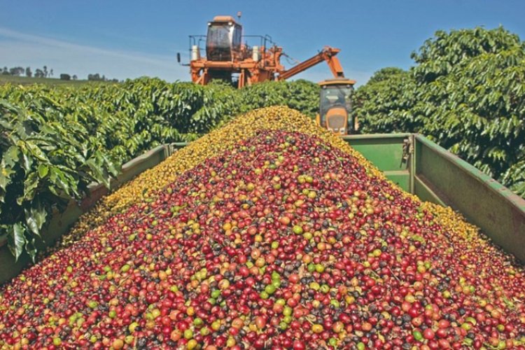 Exportações mineiras para os EUA caem 49,5% Exportações mineiras para os EUA caem 49,5%