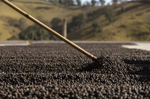 manejo-no-pos-colheita-510x337 manejo-no-pos-colheita-510x337