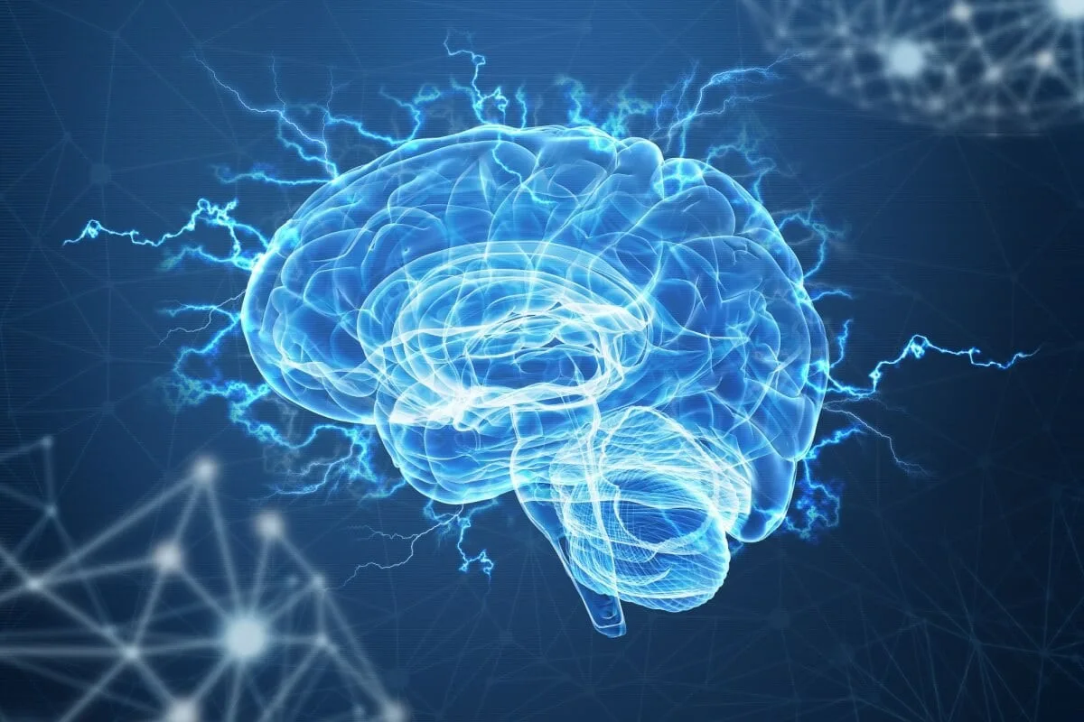 cerebro-646c28fc09d02e