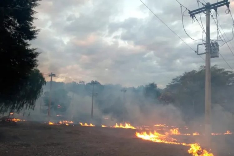 Queimadas deixam 11 mil sem energia