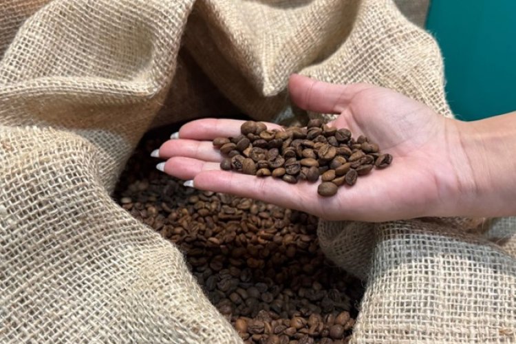 Agronegócio mineiro cresce Agronegócio mineiro cresce