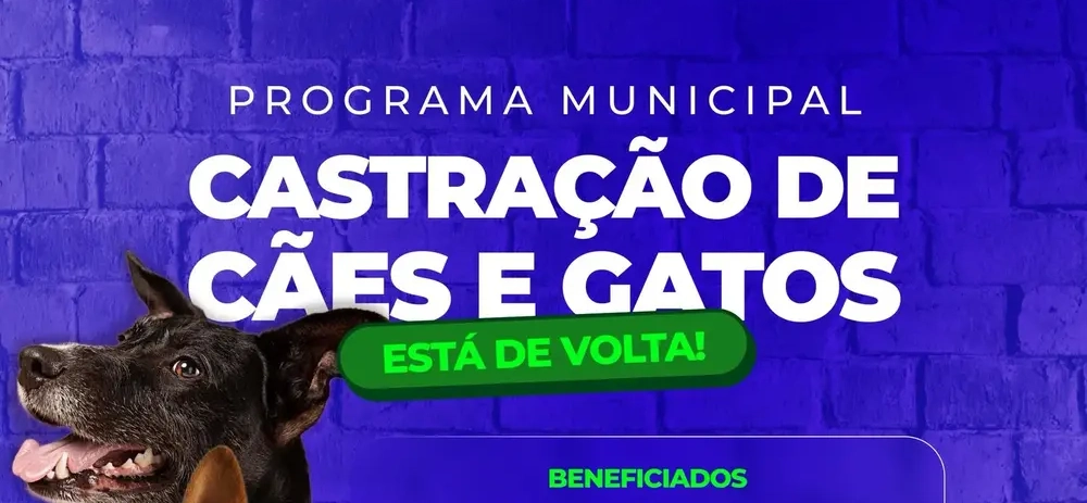 ezgif-6d93372de2822632