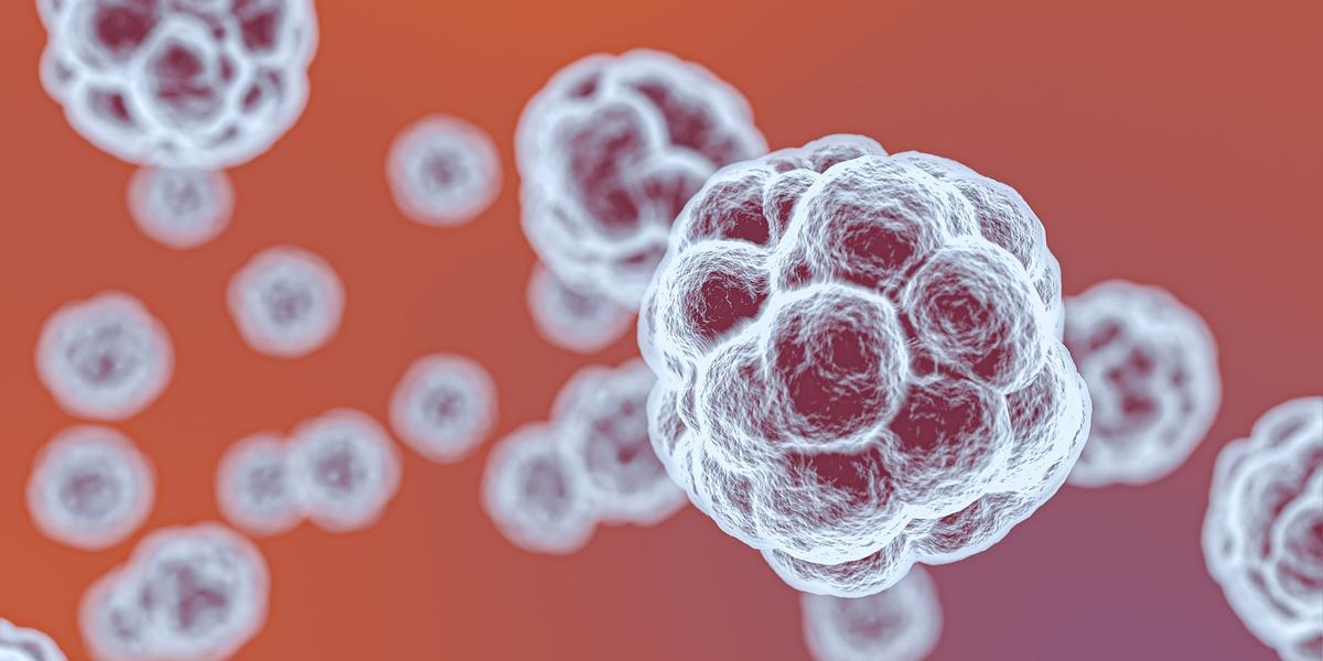 virus-562886 virus-562886