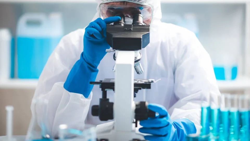 ciencia-estudo-185567