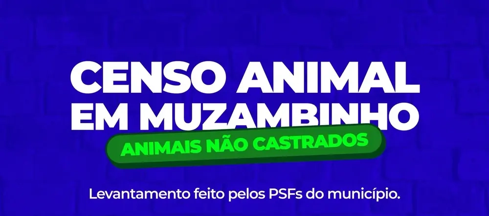 ezgif-6ae3e3e80b1e45e1