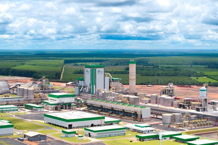 Fábrica impulsiona produção de celulose