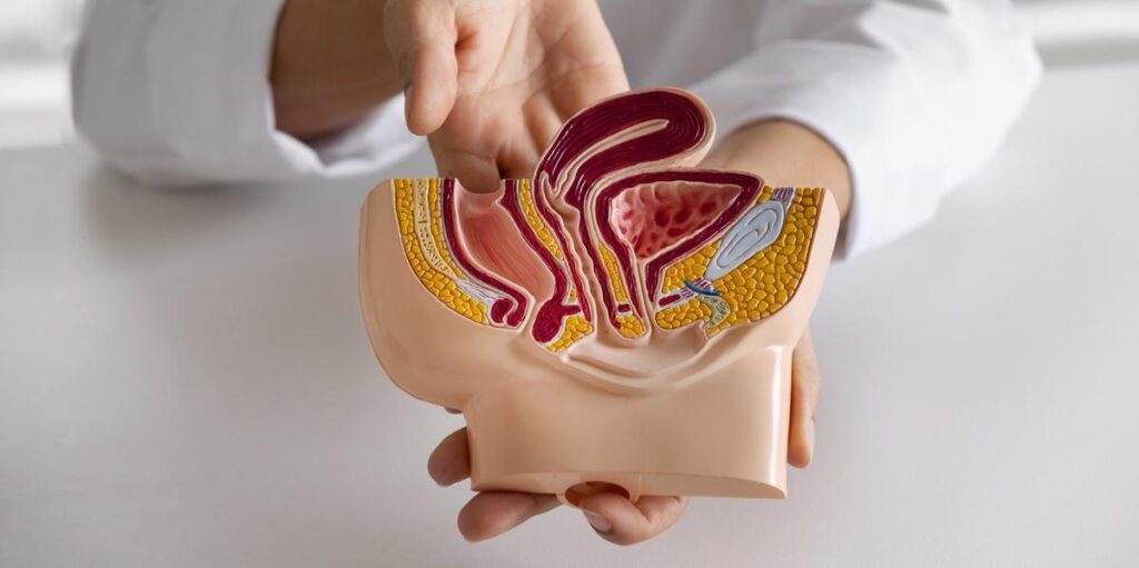 Diagnóstico precoce aumenta cura do câncer colorretal, que matará três vezes mais pessoas até 2030