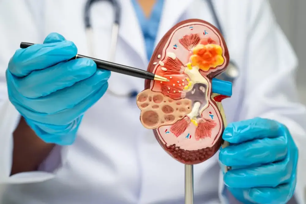 rim-2fc939390184a44a rim-2fc939390184a44a