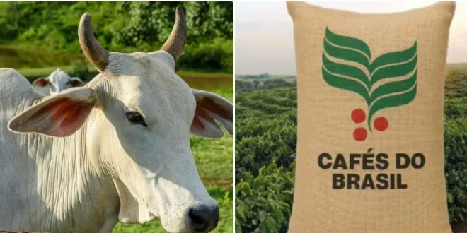 WhatsApp-Image-2026-04-28-at-14.22.56