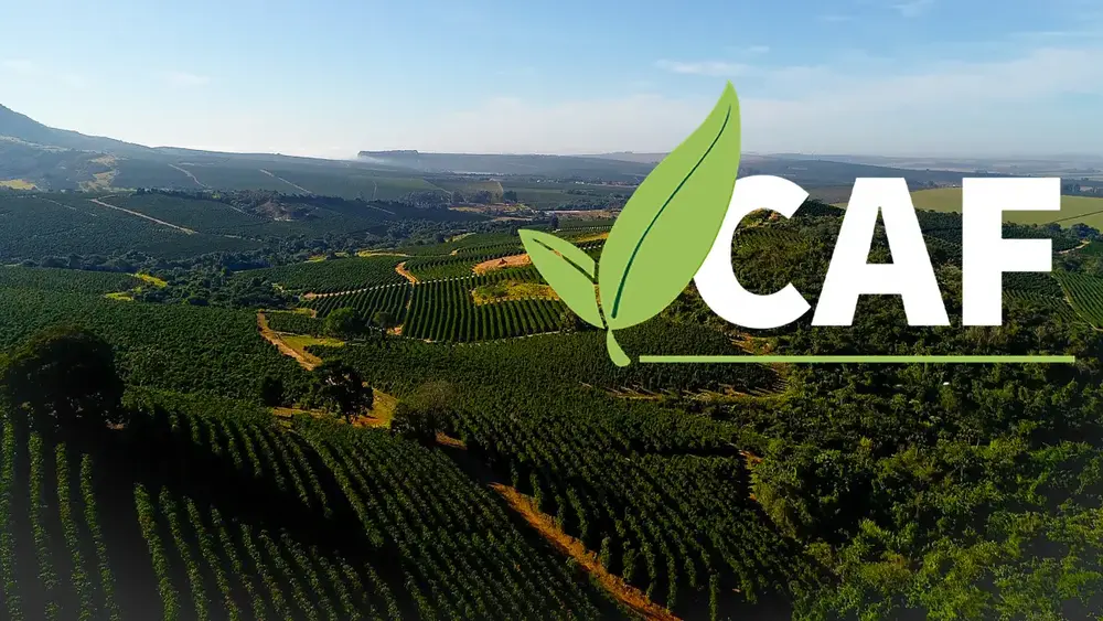 caf-837e753512712e56