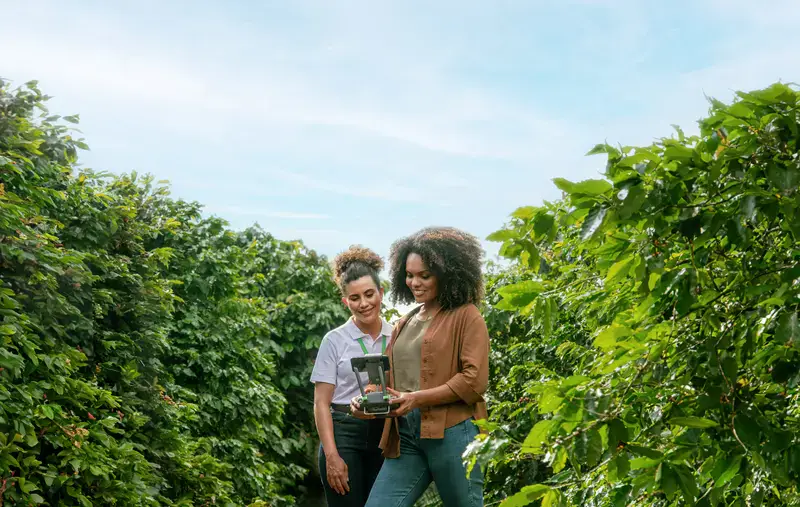 ezgif-347a363ac6bd7494