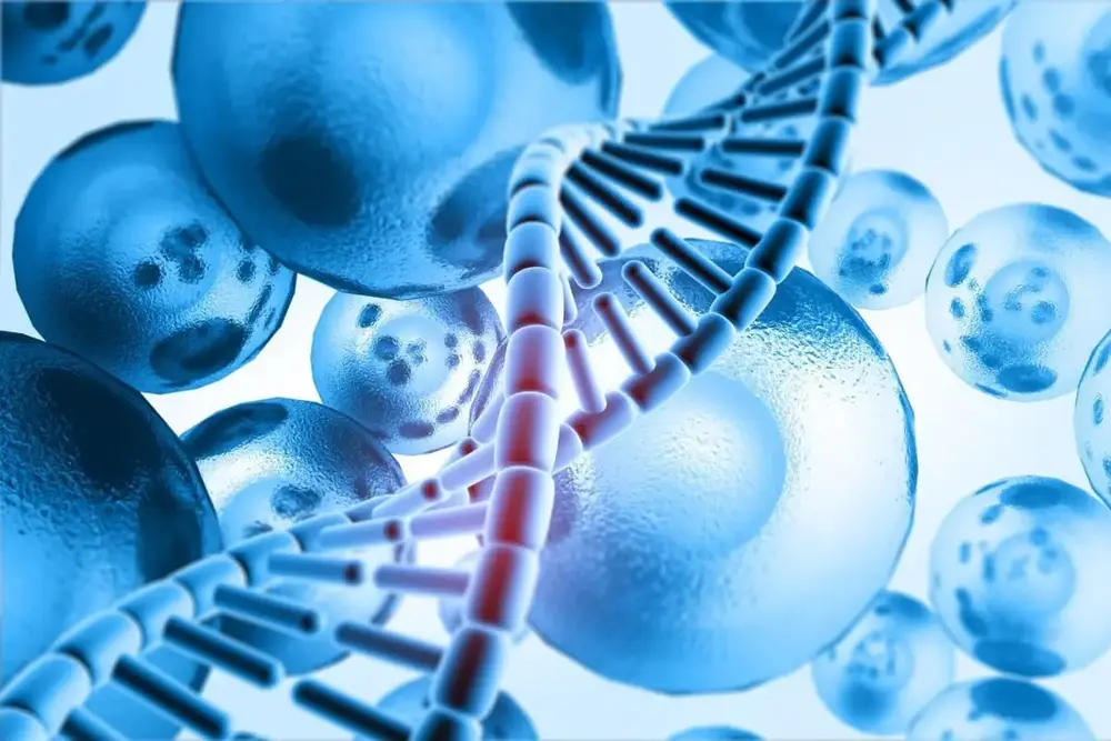 ezgif-406ae2e9cfa4f3c6