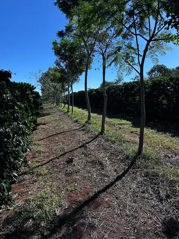 ezgif-6a1a8ee3686db362