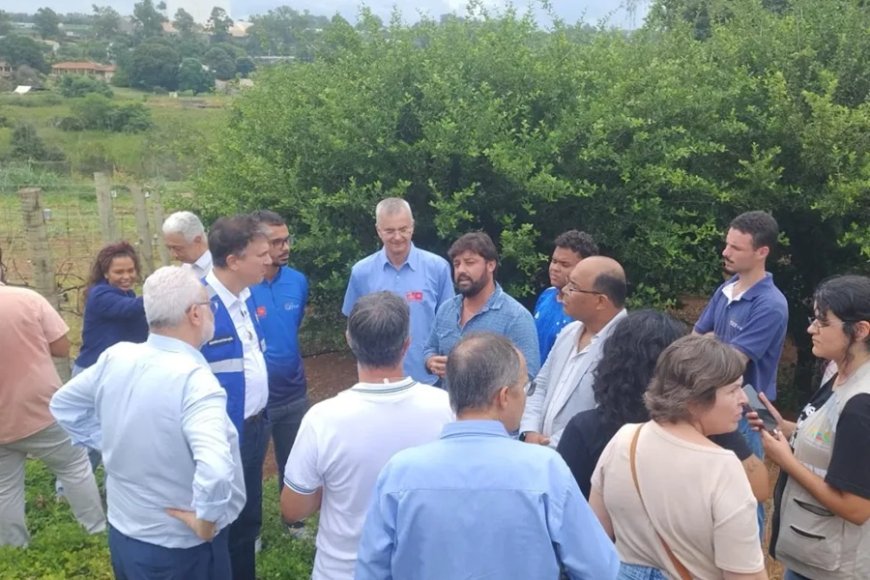 O potencial da vitivinicultura de inverno em MG