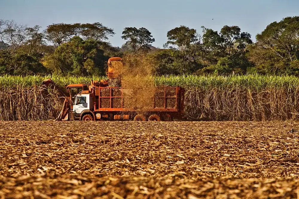 agro-4a59e0c1e93734c6