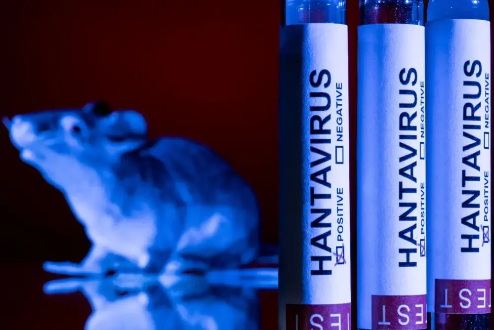 hantavirus-8bc7ab03b367573b