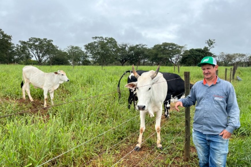 Agro + Verde recupera 3.300 hectares no oeste de Minas Gerais Agro + Verde recupera 3.300 hectares no oeste de Minas Gerais