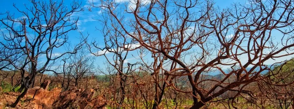 seca-clima-el-nino-5522311efa1de98c seca-clima-el-nino-5522311efa1de98c