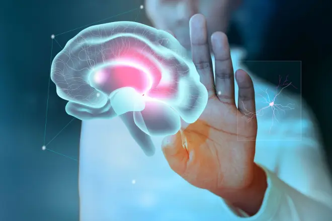 cerebro-e1785070562129