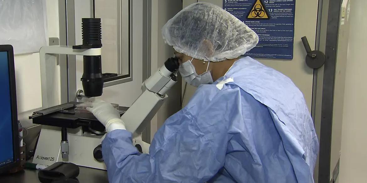 ciencia-estudo-238