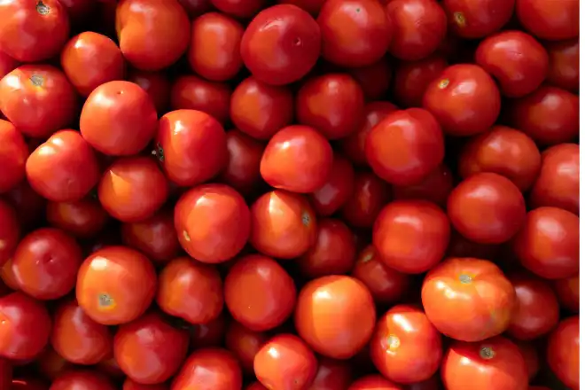 tomate-23686