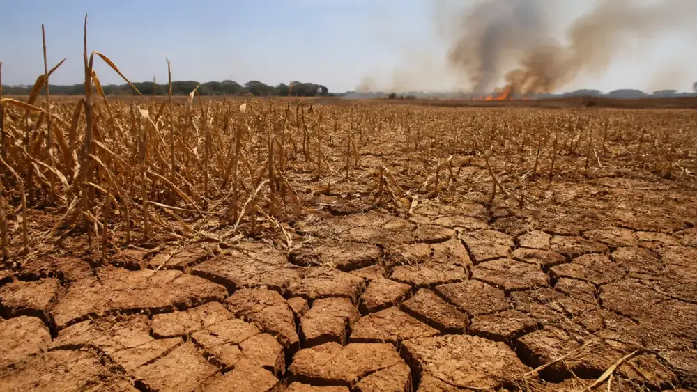 seca-clima-el-nino-5652d4725e7c4c9b