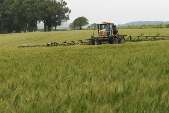 agro0-4638 agro0-4638