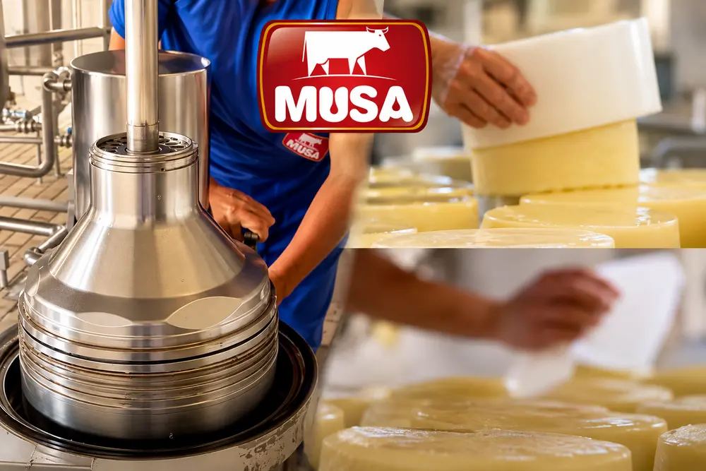 Produção de Queijos Musa