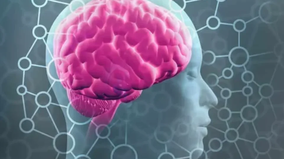 cerebro-memoria-definicao-tipos-e-principais-caracteristicas-3-e1791288594787-960x540