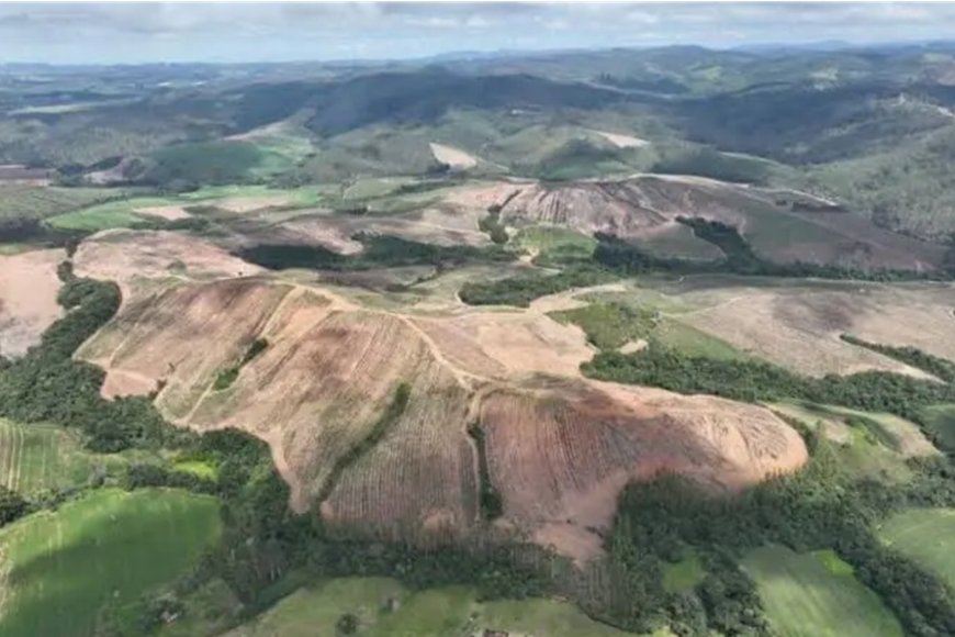 Empresa anuncia aquisição bilionária em Minas Empresa anuncia aquisição bilionária em Minas